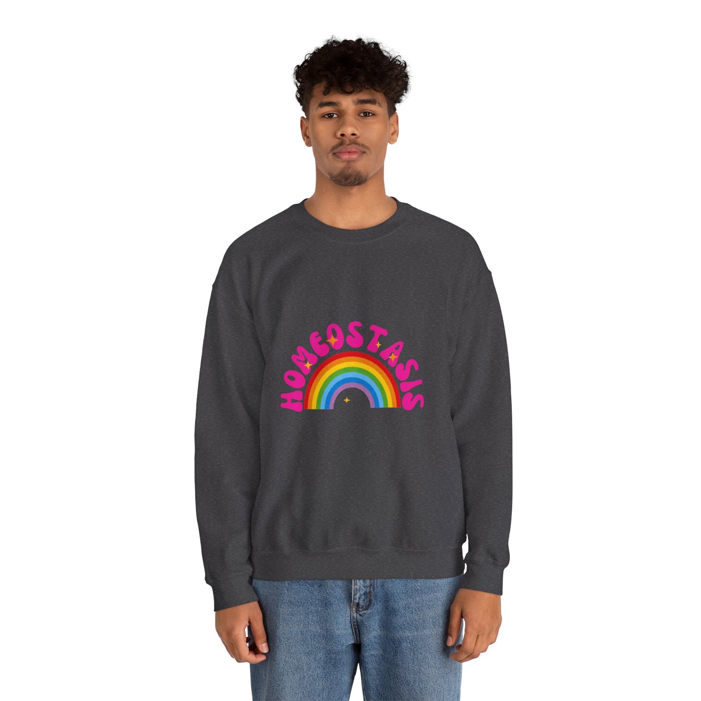 *HOMEOSTASIS* Rainbow Unisex Sweatshirt